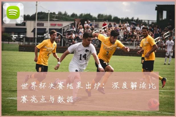 世界杯决赛结果出炉:深度解读比赛亮点与数据